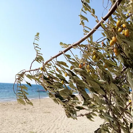 Yazduf Aile - Yazlik, Villa, Altinoluk, Akcay, Kaz Daglari *