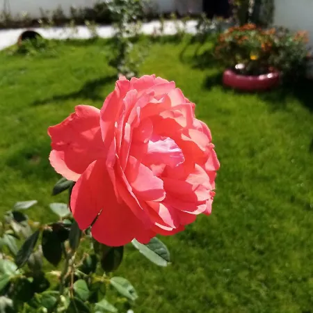 Appartement Yazduf Aile - Yazlik, Villa, Altinoluk, Akcay, Kaz Daglari Akçay